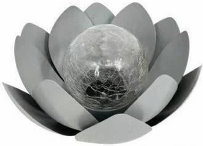 GALIX Zonnewaterlelie - 25 cm