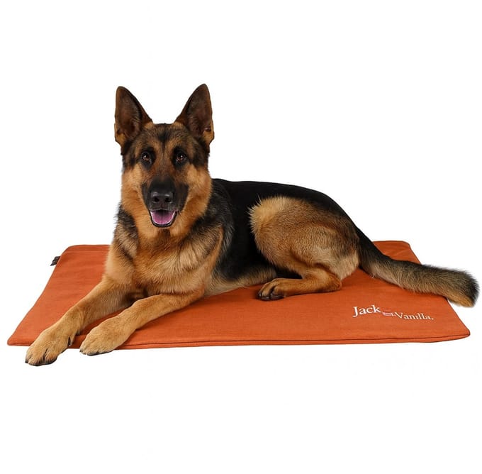 Jack And Vanilla Waterproof benchmat - Maat XL - 104x68 cm - Benchkussen - Bench mat - Bench kussen - Oranje