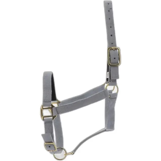 Halster voor paarden Norton Doublé cuir
