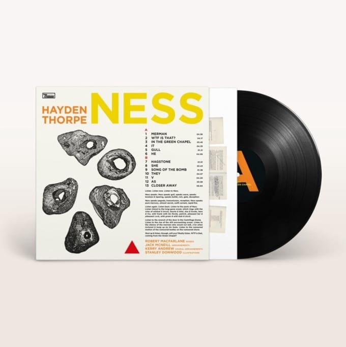 Ness - Hayden Thorpe
