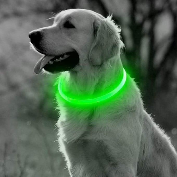 Led Halsband Hond - Groene Led Hondenhalsband - 10-35cm - Small - USB oplaadbaar