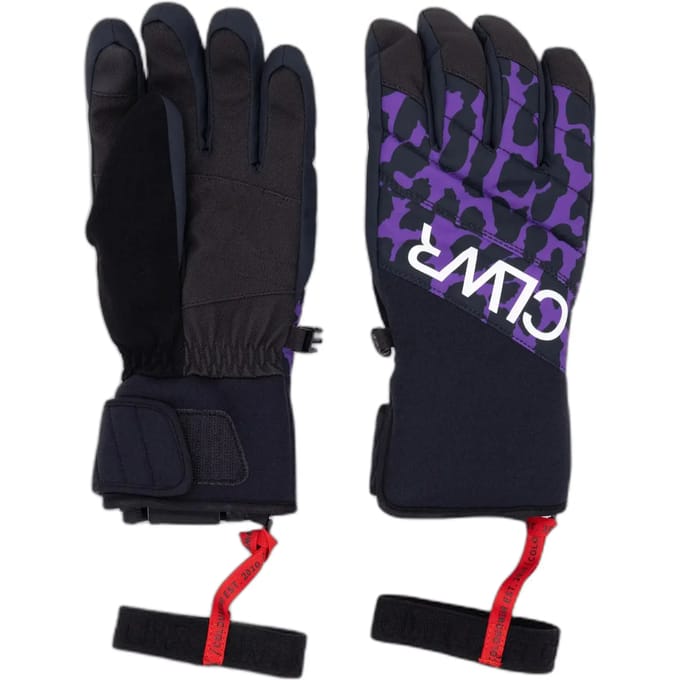 Skihandschoenen Colourwear Powder