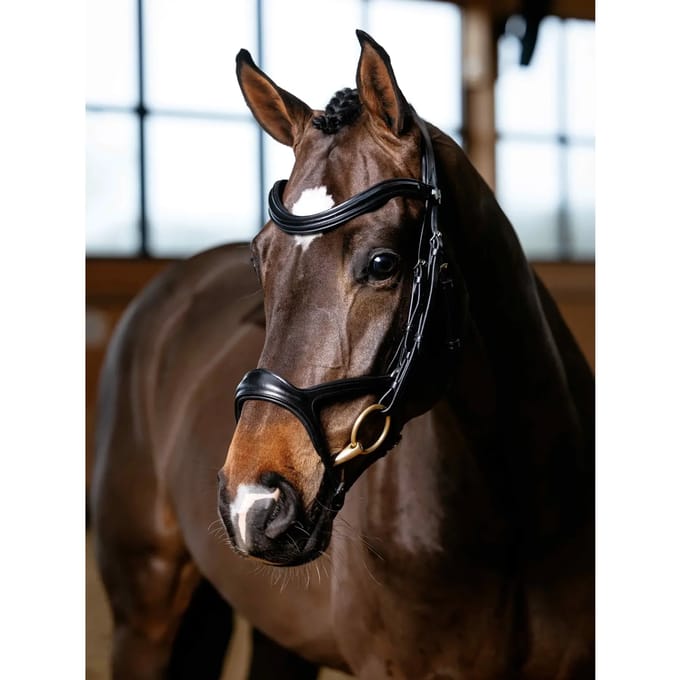 Hoofdstellen voor paarden LeMieux Kudos