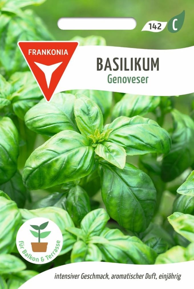 Genovese basilicum - basilicumzaden, kruidenzaden, specerijenzaden