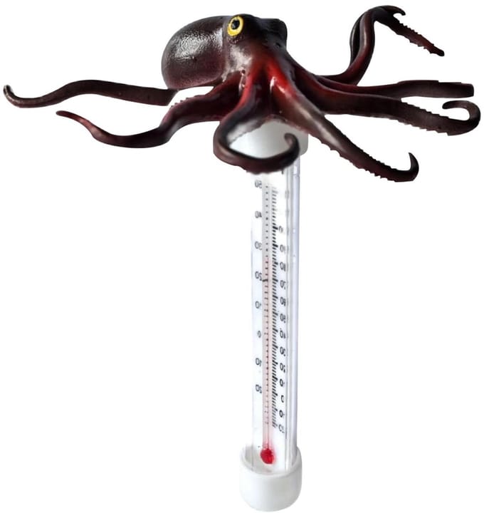 Zwembadthermometer Octopus - Drijvende meter - Water Temperatuur Meten - Groot Leesdisplay - 22 Centimeter - Meerkleurig