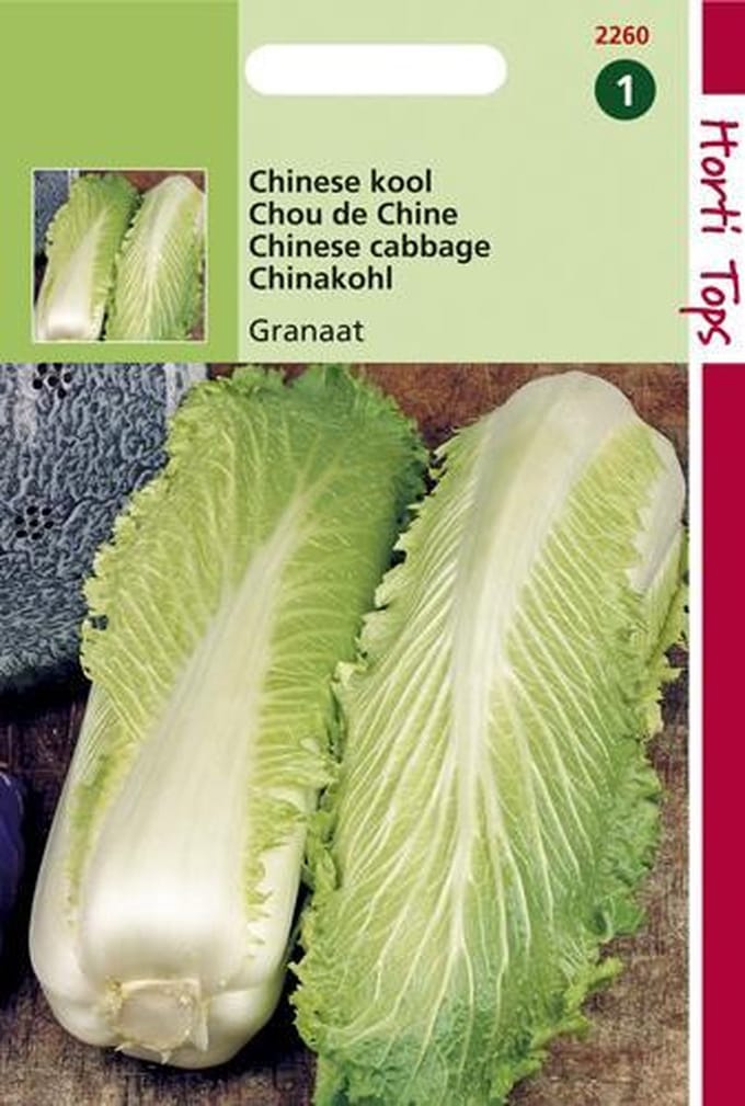 Hortitops Zaden - Chinese Kool Granaat, Zelfsluitend
