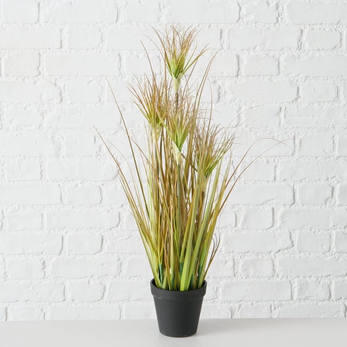 Plant in pot - Glanshaver - 60cm - Groen - Kunststof - Boltze