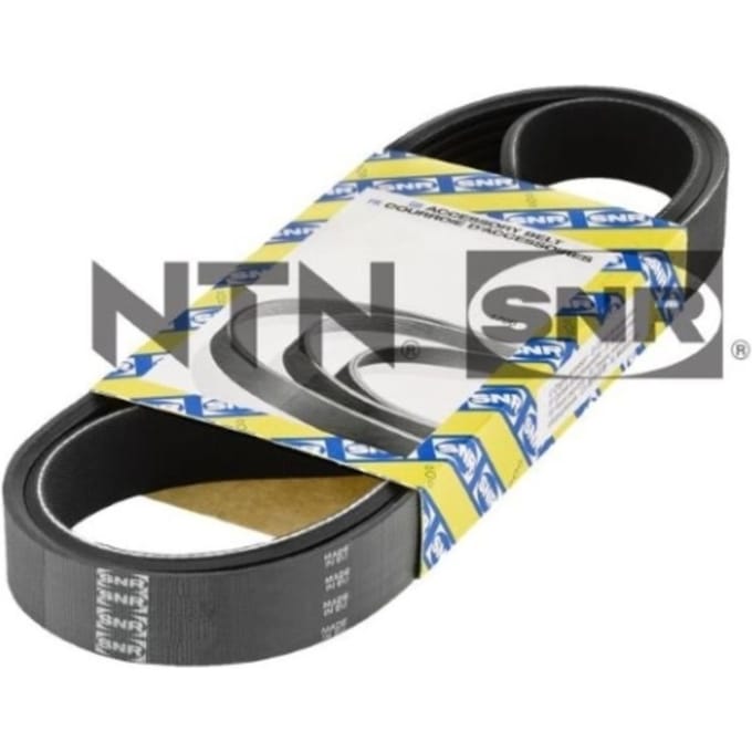 Poly V-riem SNR CA5SPK1230