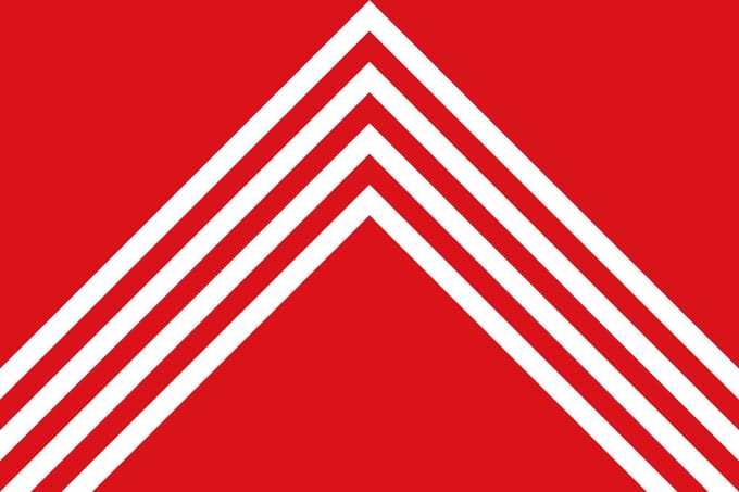 Vlag Brakel 200x300cm