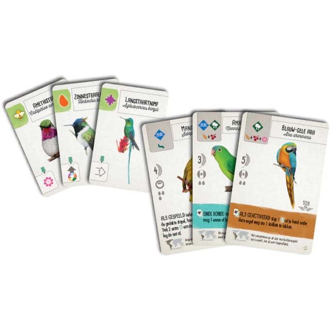 999 Games - Wingspan uitbreiding: Midden- en Zuid-Amerika Bordspel