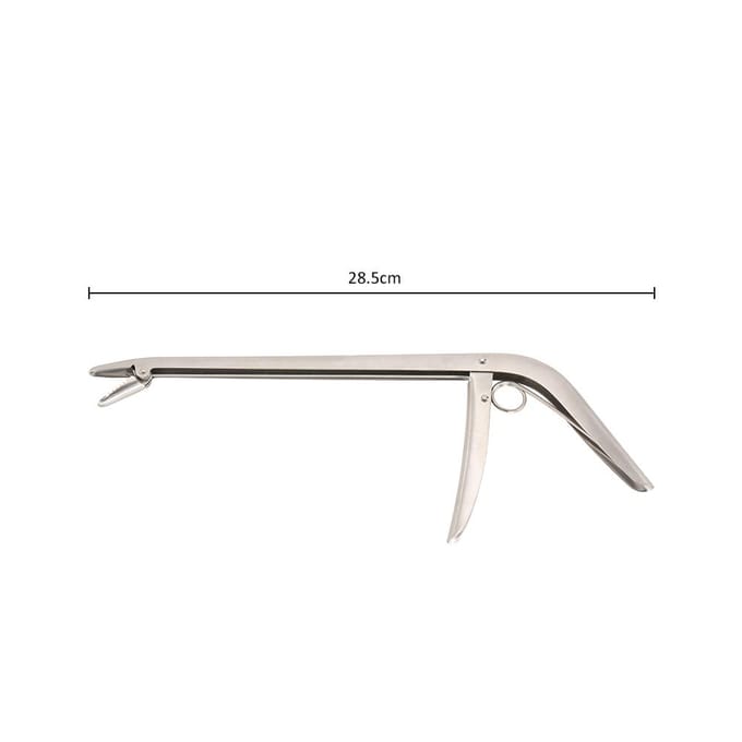Lixada RVS Vishaak Verwijderaar Extractor Vishaak Verwijderingsgereedschap zilver
