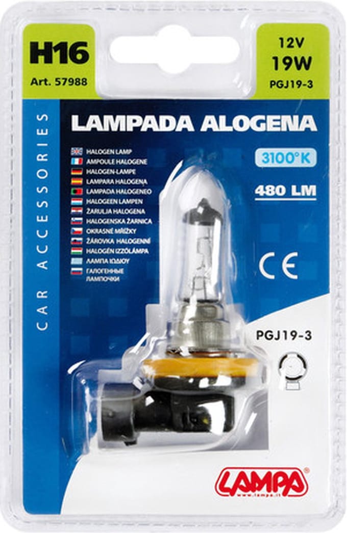 H16 lamp 12V 19W Blister | Lamp - 12 volt - 19 Watt - H16 - 1 stuk