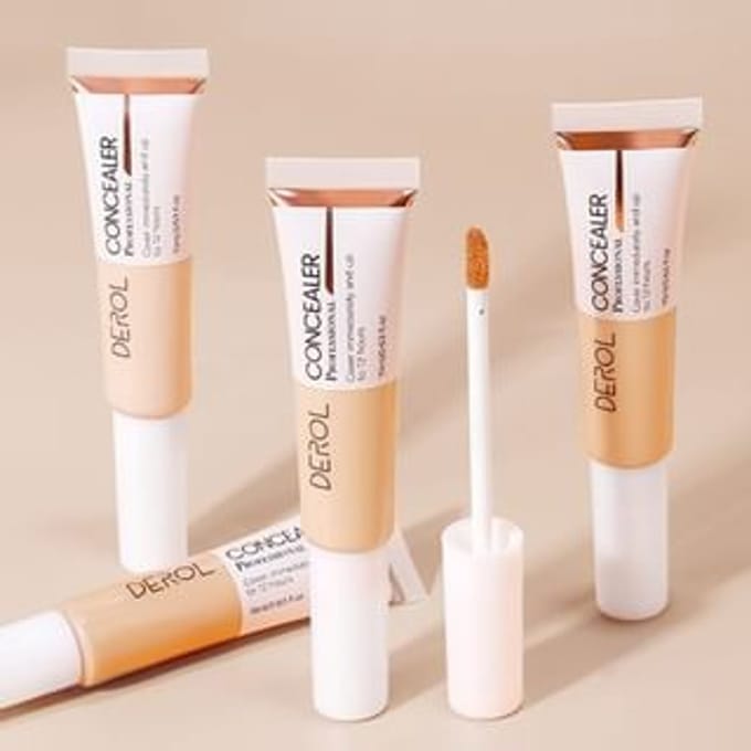 DEROL - Inspiration Painter High-efficiency Concealer - 4 Colors #01 Porcelain