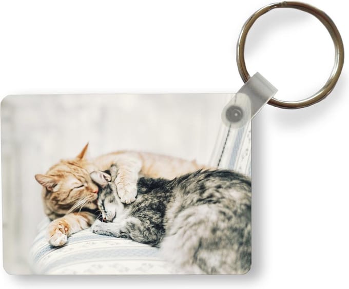 Sleutelhanger - Katten - Bank - Woonkamer - Uitdeelcadeautjes - Plastic