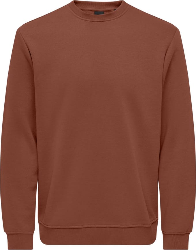 ONLY&SONS - ONSCONNOR LIFE REG CREW NECK SWEAT NOOS - Heren - Sweaters
