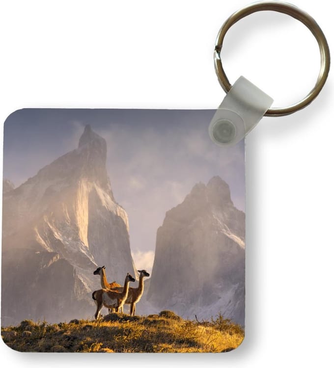 Sleutelhanger - Lama - Bergen - Gras - Uitdeelcadeautjes - Plastic