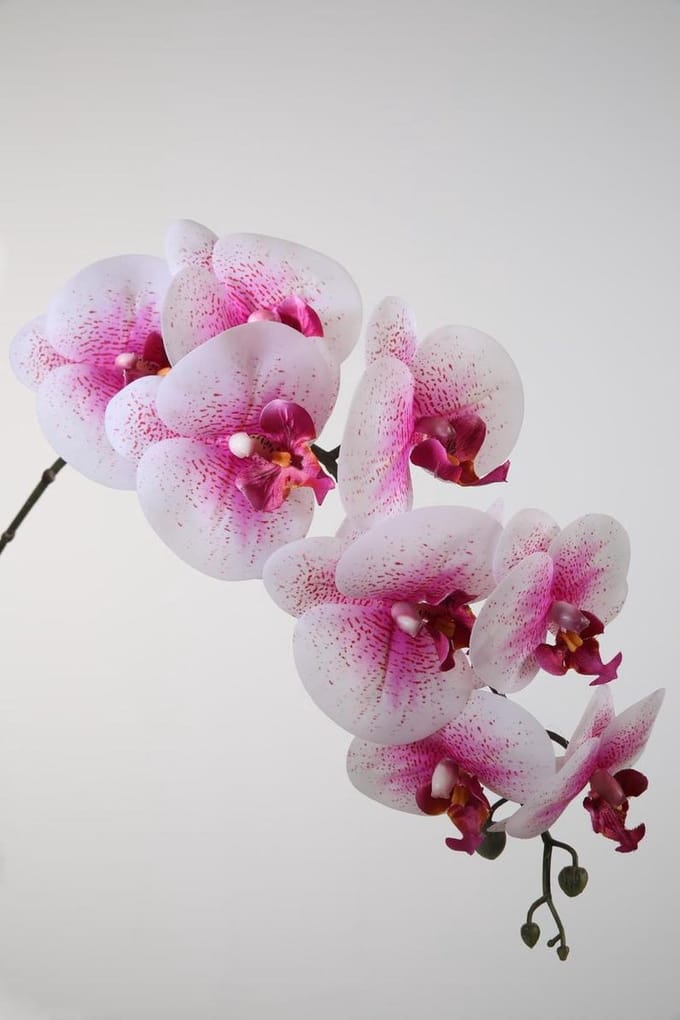 Viv! Home Luxuries Orchidee Phalaenopsis - zijden bloem - roze wit - 86cm