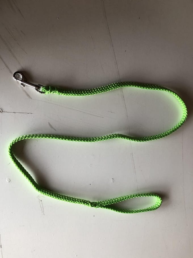 Bianca's Standaard Lijn - Hondenriem - 200 cm - Medium - Groen