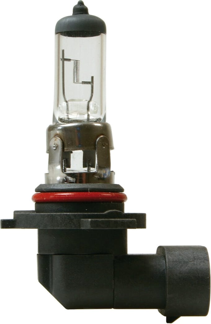 H10 halogeen lamp 12V 42W PY20D