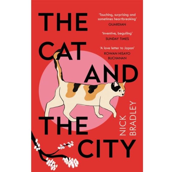 De Kat en De Stad door Nick Bradley Paperback Boek 9781786499912