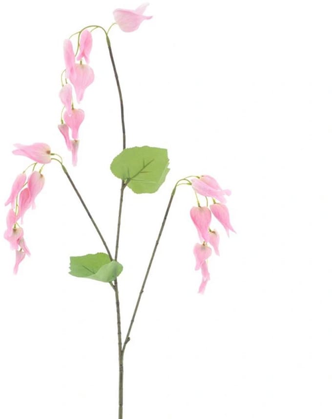Erutan avon - Dicentra spray pink 96 cm