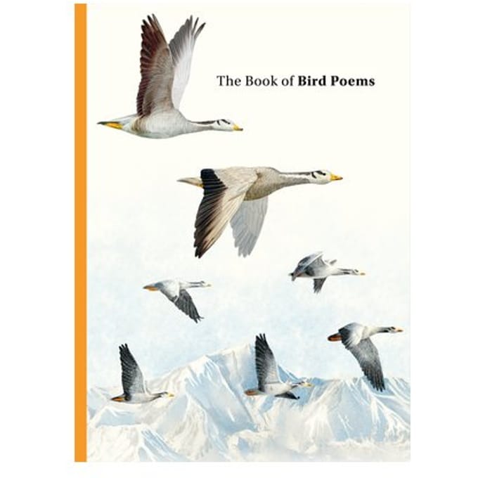 The Book Of Bird Poems - Ana Sampson