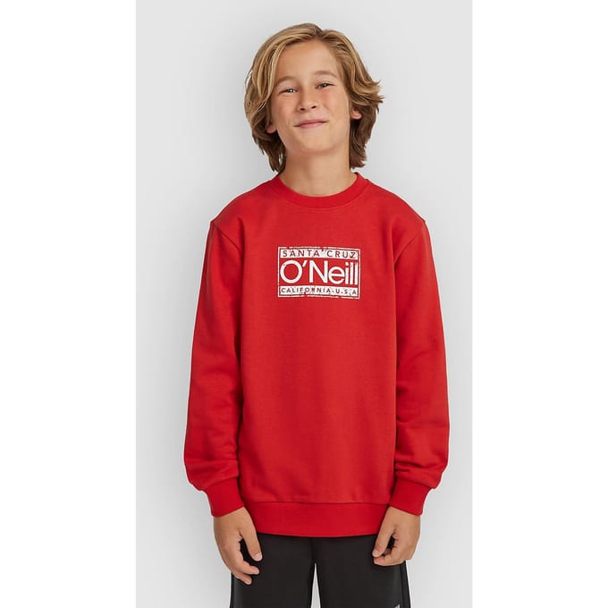 O'Neill Cali Crew Kids Sweater rood