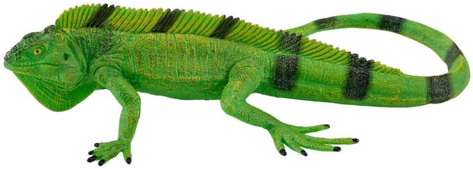 Mojo Wildlife Leguaan - 381095