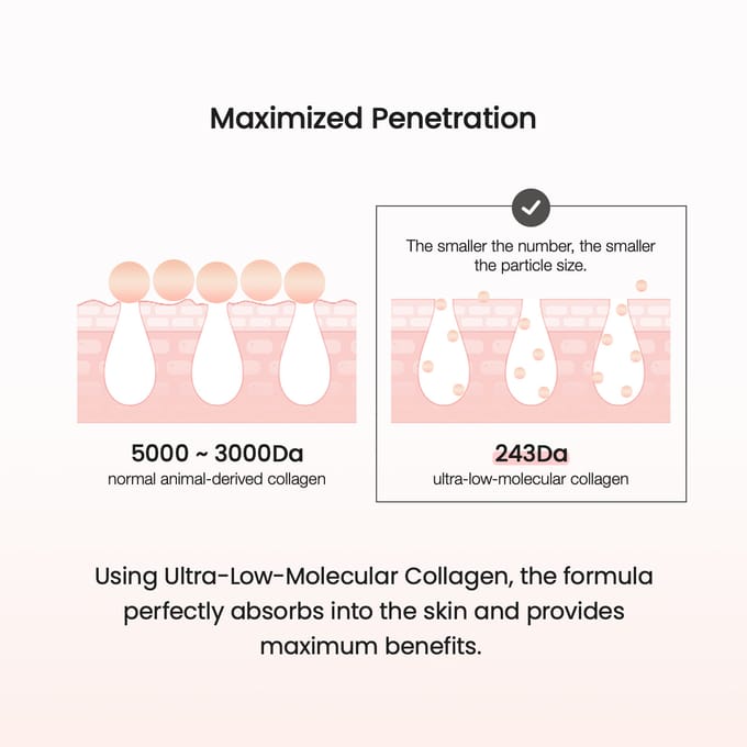 BIODANCE Pore Tightening Collagen Ampoule - Gezichtsserum - 30 ml