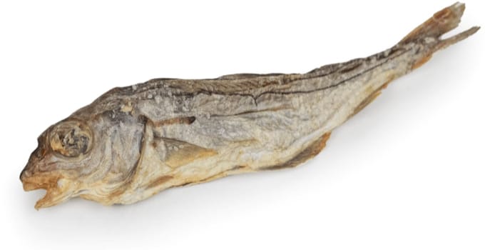 Chikko Quality - Gedroogde Schelvis - Natuurlijke Hondensnack