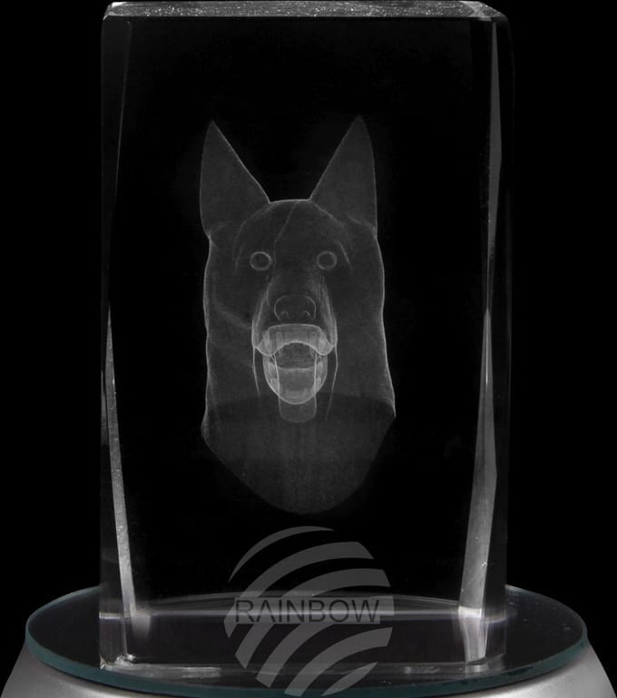 glasblokje crystal plein thema: hond kleur transparant