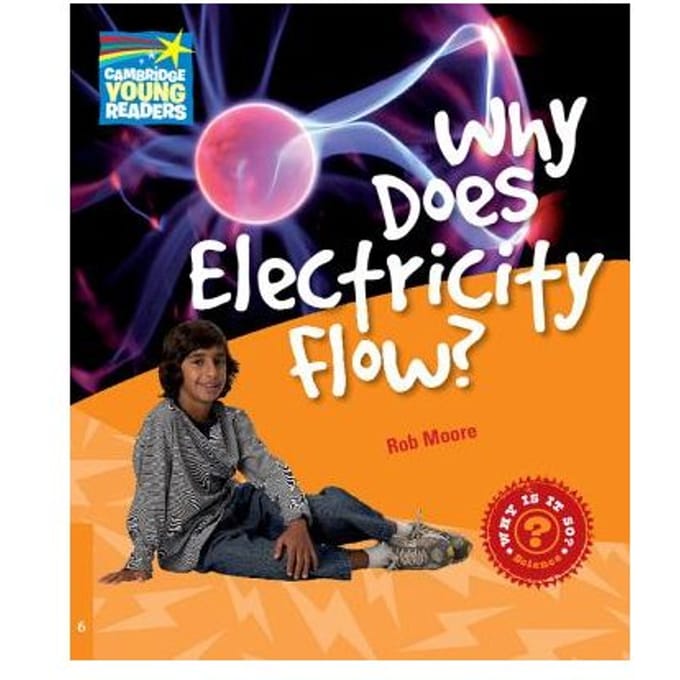 Why Does Electricity Flow? Level 6 Factbook - Rob Moore
