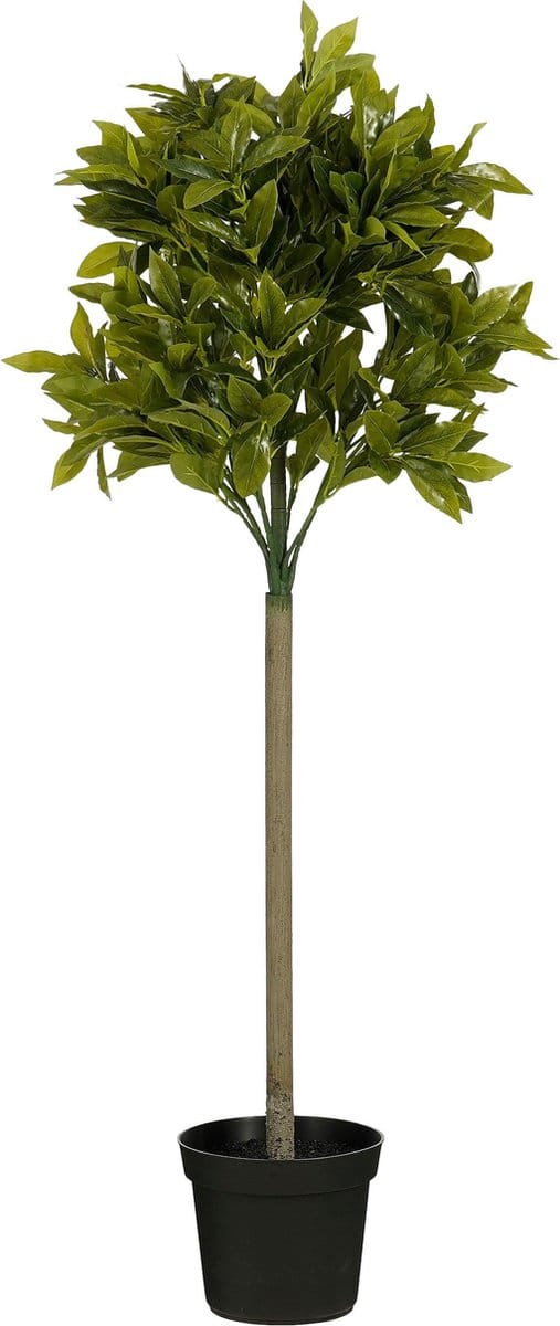 Mica Decorations Laurierboom Kunstplant - H120 x Ø40 cm - Groen