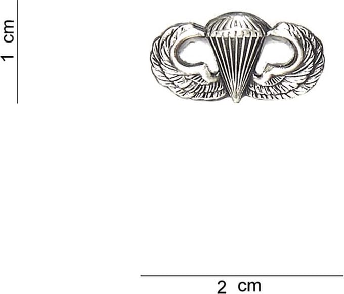 Embleem metaal Para wing klein zilver pin