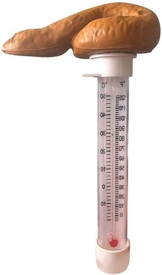 Zwembad Thermometer - Drijvende Meter - Water Temperatuur - Grappig Ontwerp - 1134 x 669 cm - Bruin
