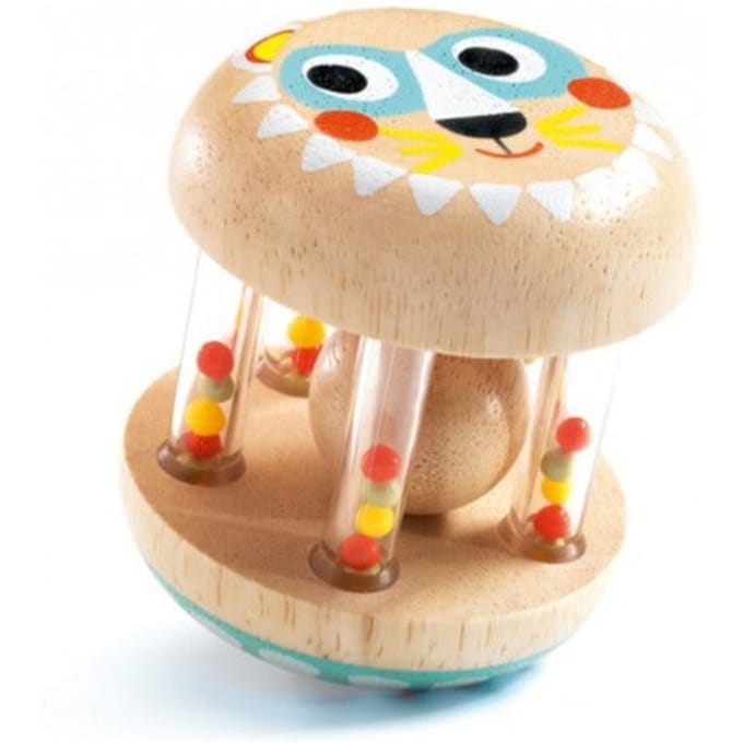 DJECO rammelaar BabyShaki 3 m+