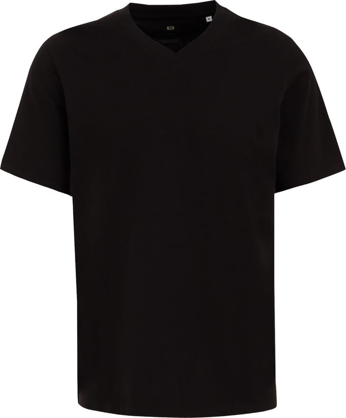WE Fashion Heren Regular fit T-shirt van 100% katoen