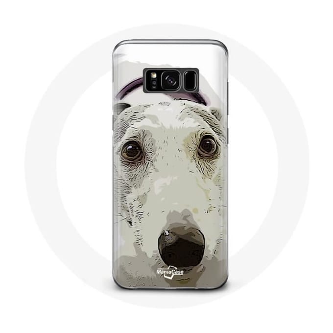 Coque - Samsung - Galaxy S8 - Chien de Pitbull - Blanc - Rigide blanc