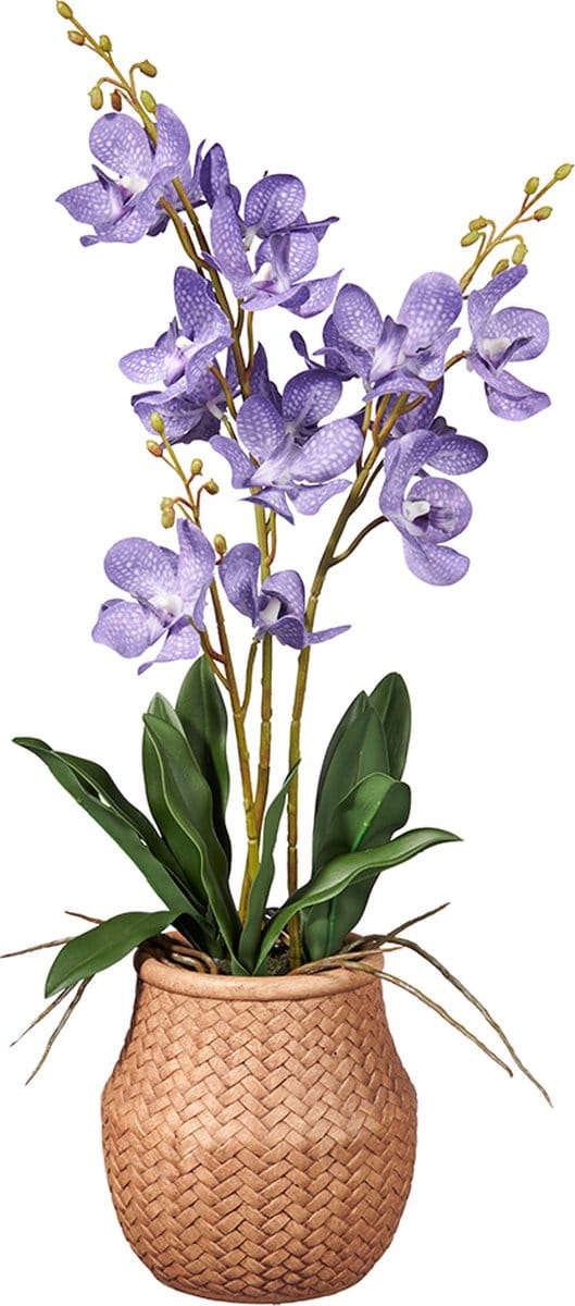 Kunstplant wilde Orchidee 3-tak lila H58cm - HTT Decorations kunstplanten