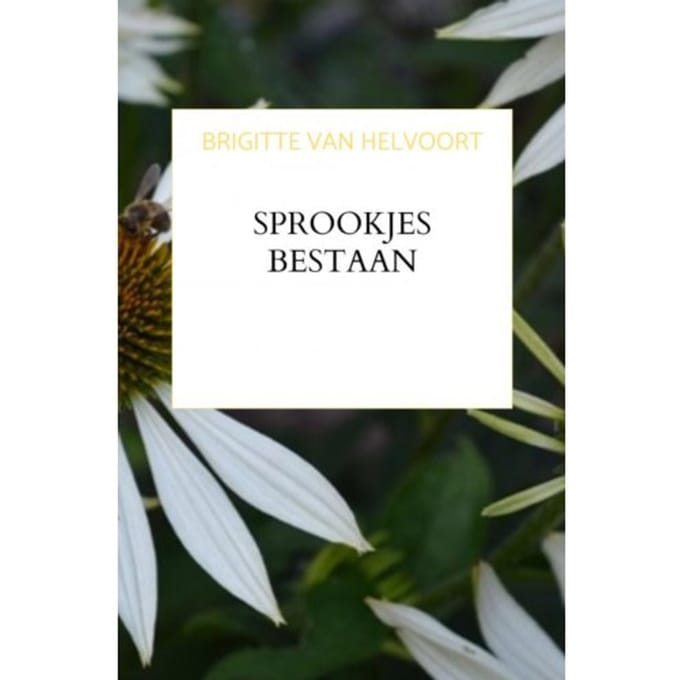 Sprookjes Bestaan - Brigitte van Helvoort