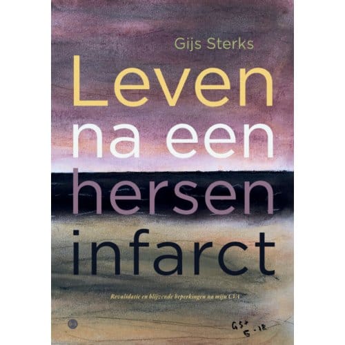 Leven Na Een Herseninfarct - Gijs Sterks