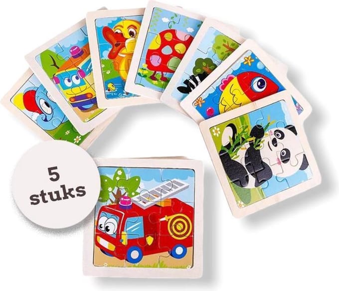 Uitdeelcadeau puzzel (9pcs) hout - 5 Stuks - Traktatie - Klein speelgoed - GRATIS Verzending