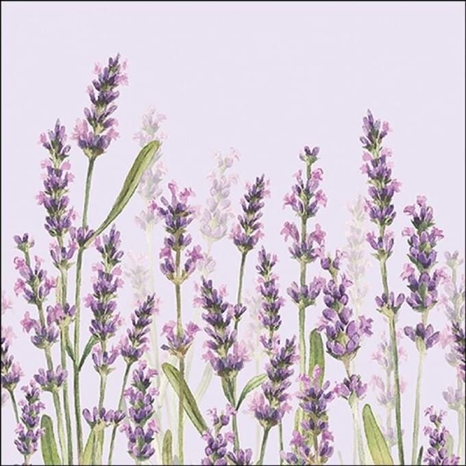 Ambiente - Lunch servetten - Lavender Shades Lila