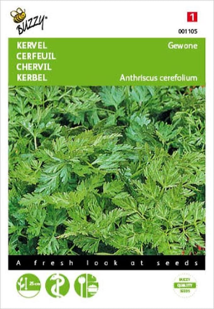 Buzzy Zaden Kervel gewone - Anthriscus cerefolium