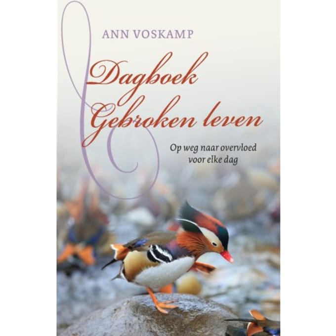 Dagboek Gebroken Leven - Ann Voskamp