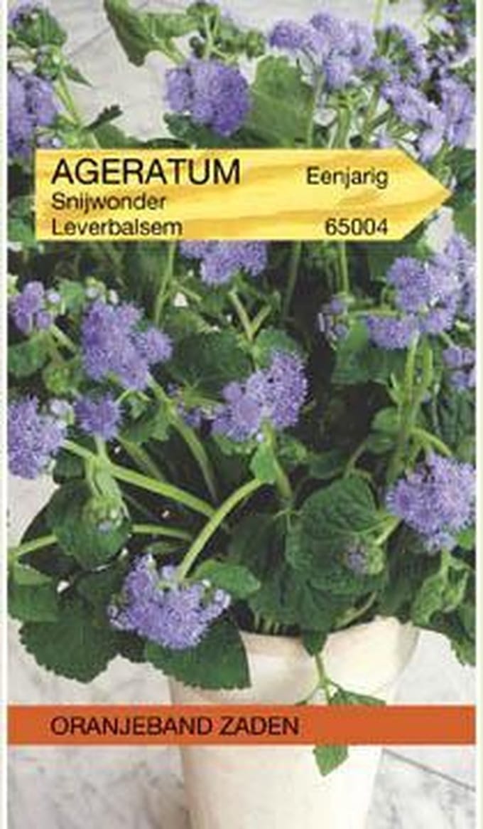 Ageratum, Leverbalsem Snijwonder