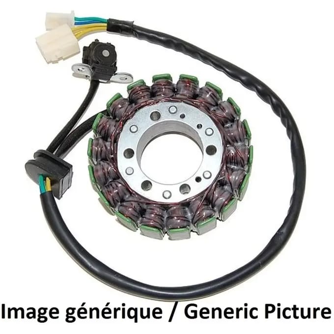 Allumage moto stator Electrosport Suzuki Gsx650F