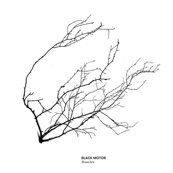 Branches