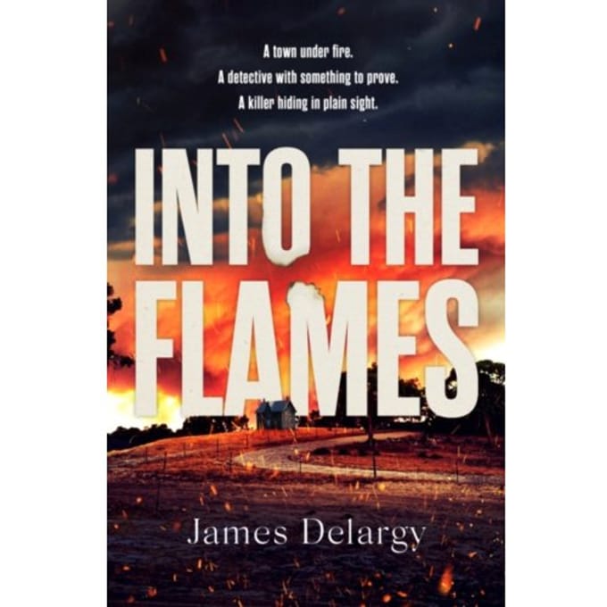 Into The Flames - James Delargy