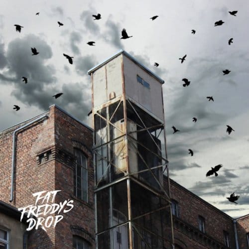 Blackbird Returns - Fat Freddy's Drop